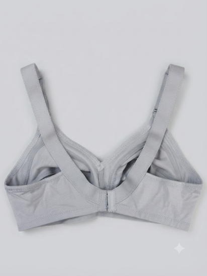 Picture of Raj Bra Regular Non-Padded Non-Wired (228)