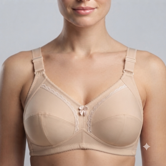 Picture of Raj Bra Regular Non-Padded Non-Wired (228)