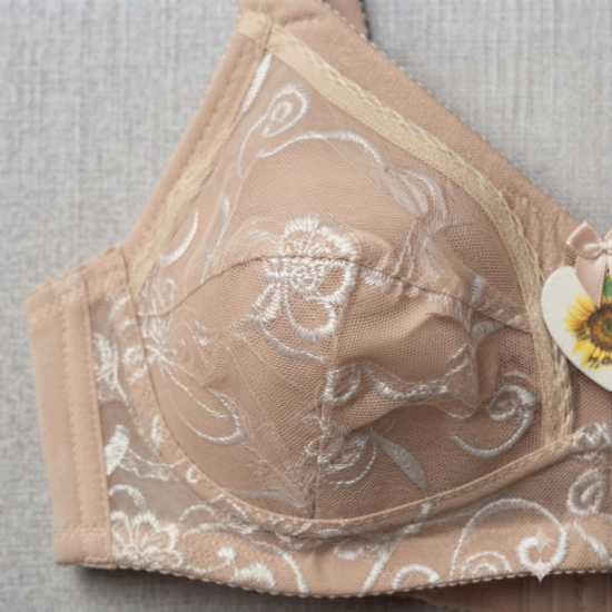 Picture of Raj Fashion SUCI-Q C-Cup Bra (806)