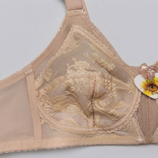 Picture of Raj Fashion SUCI-Q C-Cup Bra (804)