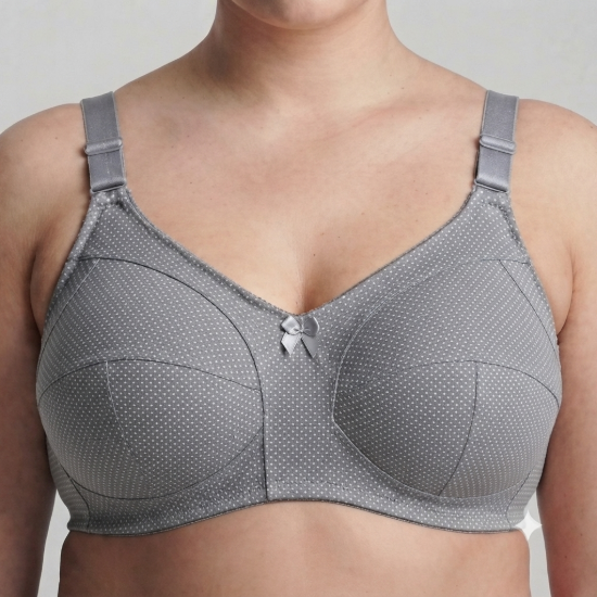Picture of Jumbo Raj Bra Regular Non-Padded Non-Wired (206)