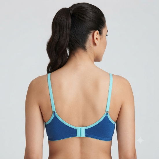 Picture of Indian Bra Regular Non-Padded Non-Wired (RF-550)