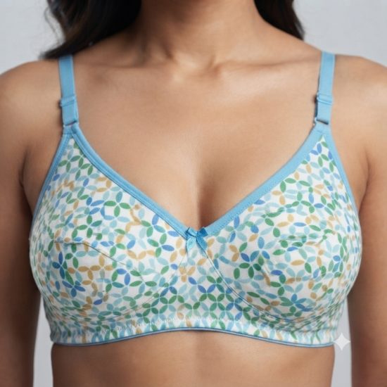 Picture of Indian Bra Regular Non-Padded Non-Wired (RF-508)